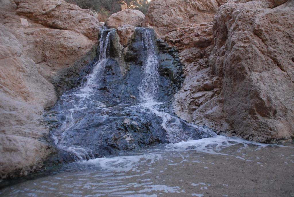 Ein Gedi Rooms Neve Zohar Eksteriør bilde