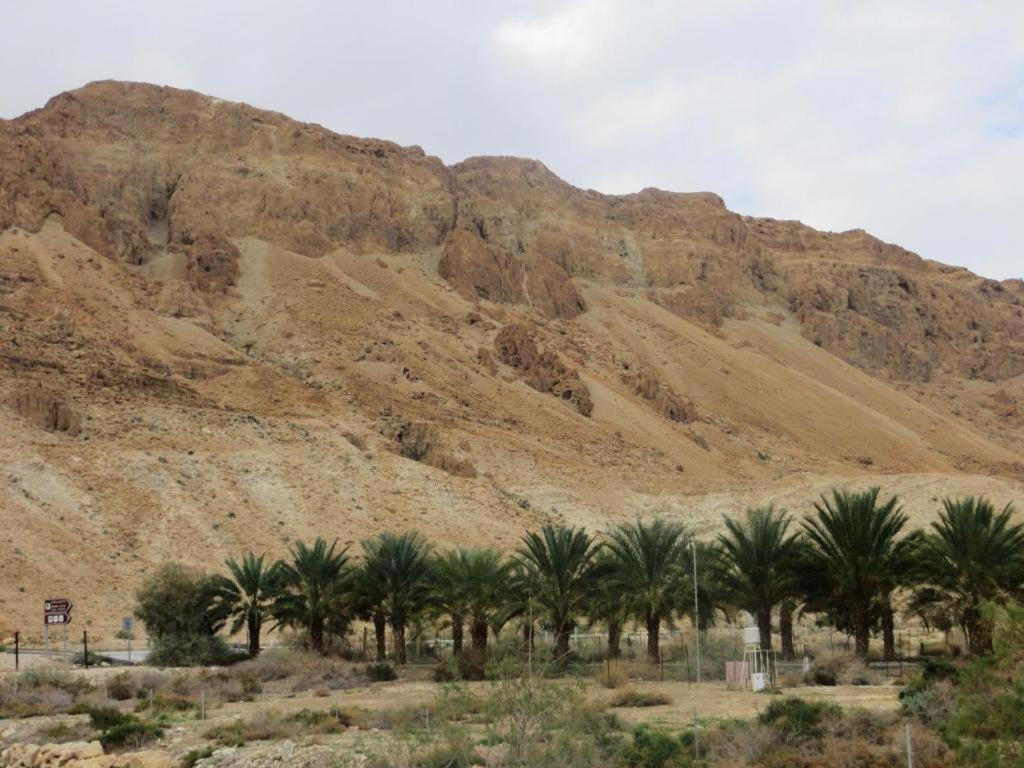 Ein Gedi Rooms Neve Zohar Eksteriør bilde