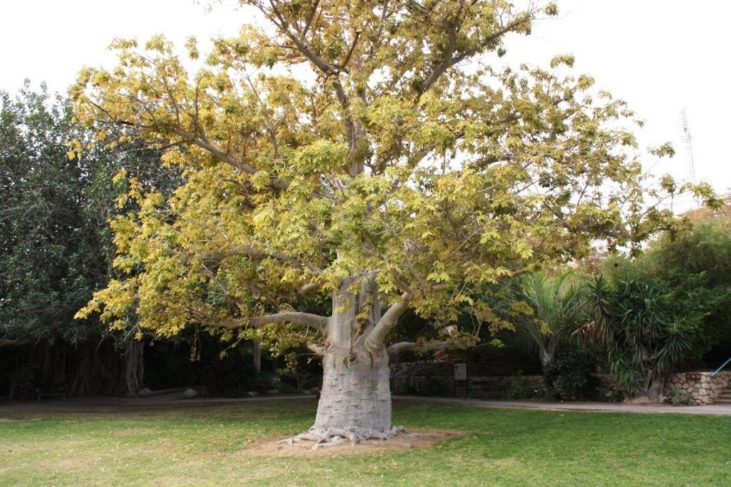 Ein Gedi Rooms Neve Zohar Eksteriør bilde